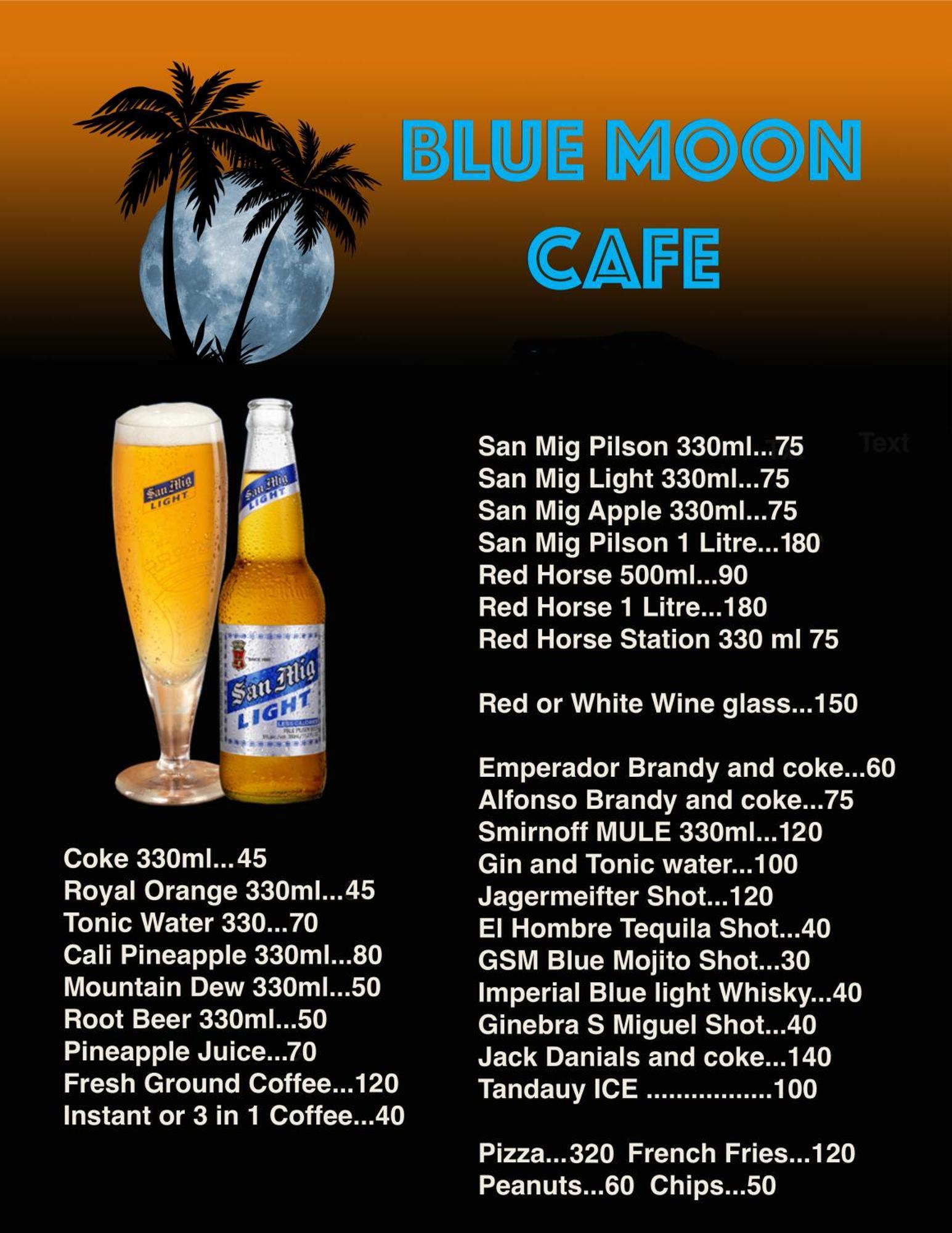 Blue Moon Guesthouse 푸에르토프린세사 외부 사진